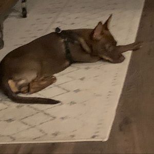 Meet your Posher, Tyler